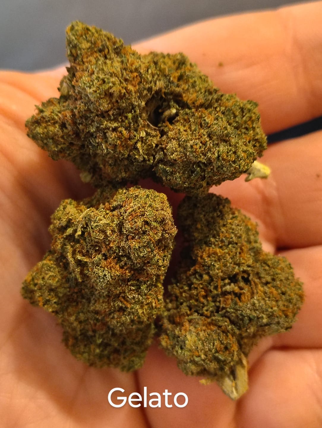 Customer photo review of Jungle Gelato - Bulk - Indica