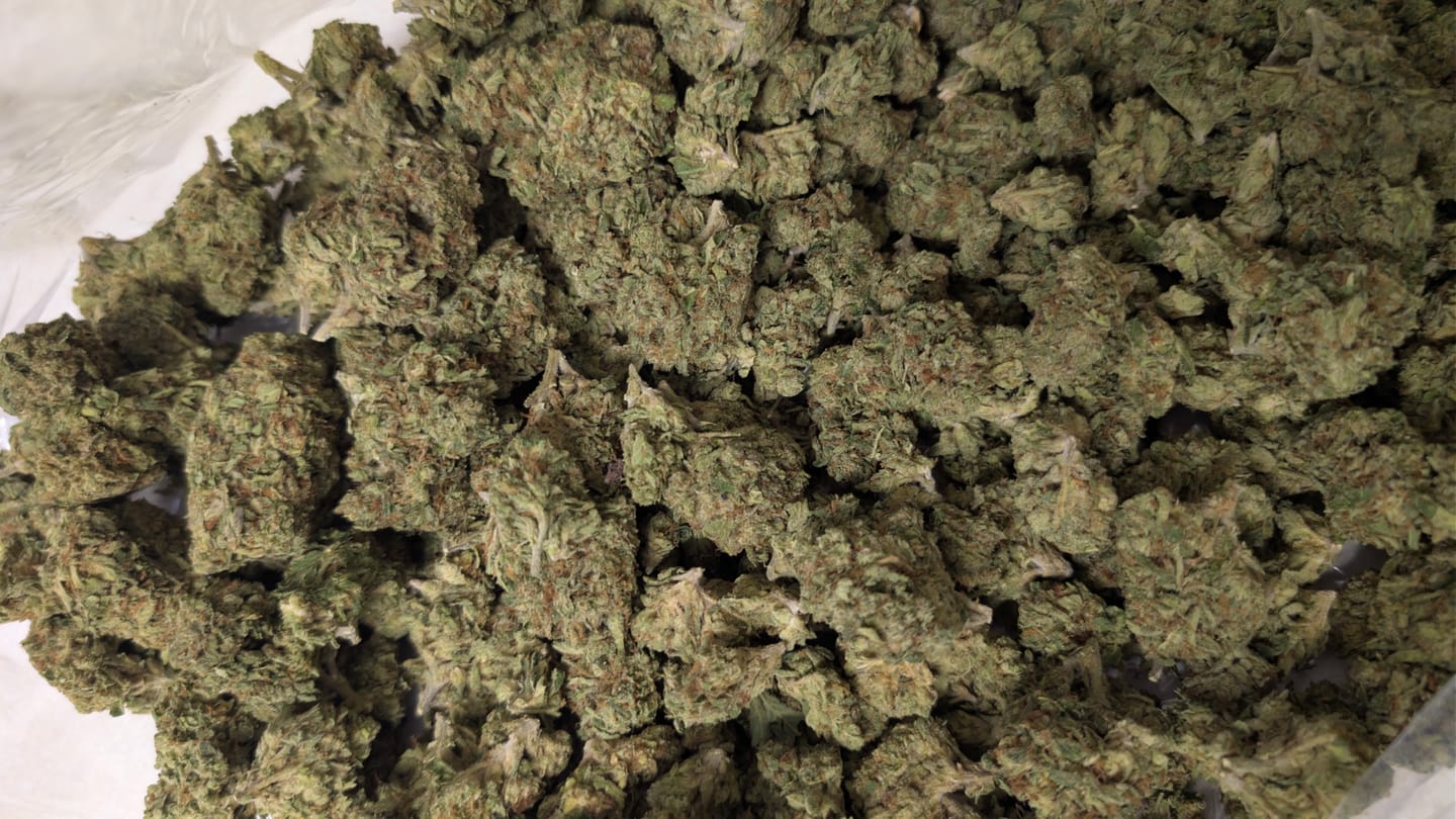 Customer photo review of Oakland Runtz - Bulk - Hybrid