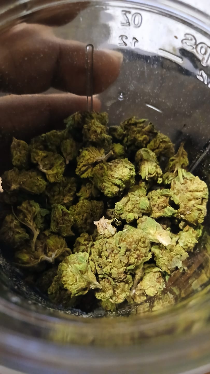 Customer photo review of Sherblato - 28 Grams - Hybrid