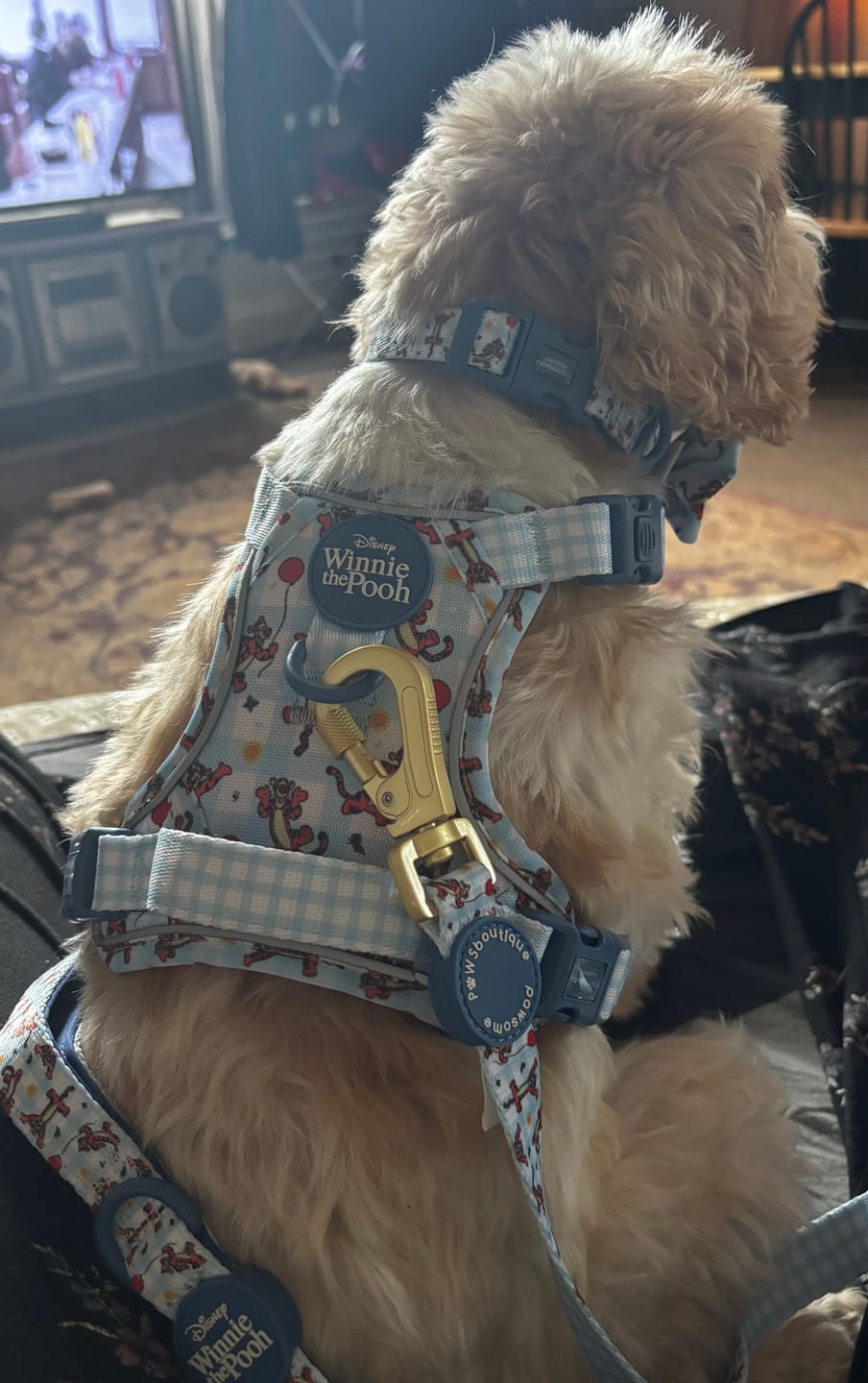 Customer photo review of Disney© Tough Trails™ Harness - Tigger