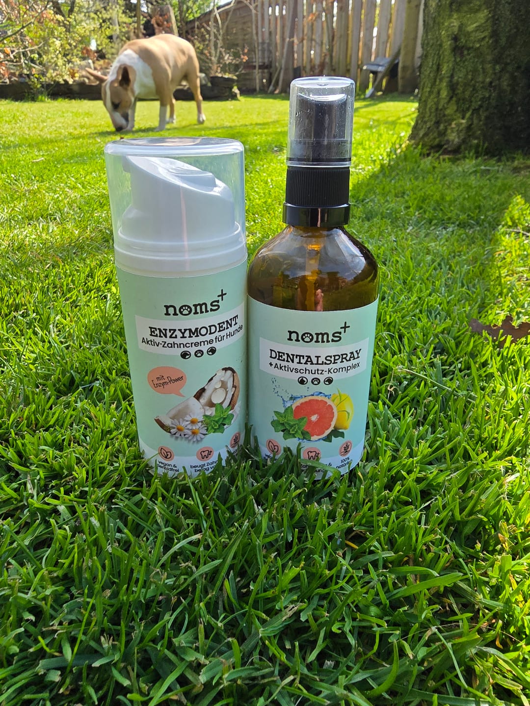 Customer photo review of Enzymodent: Enzymatische Zahnpasta für Hunde mit natürlicher Pflege- und Präventionsformel