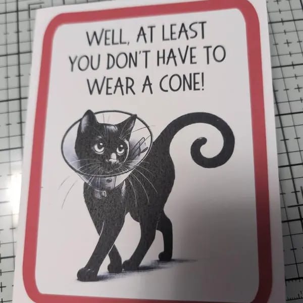 Customer photo review of Get Well Cat Printable Card, At Least You Dont Have to Wear a Cone, Digital Download Recovery Humor