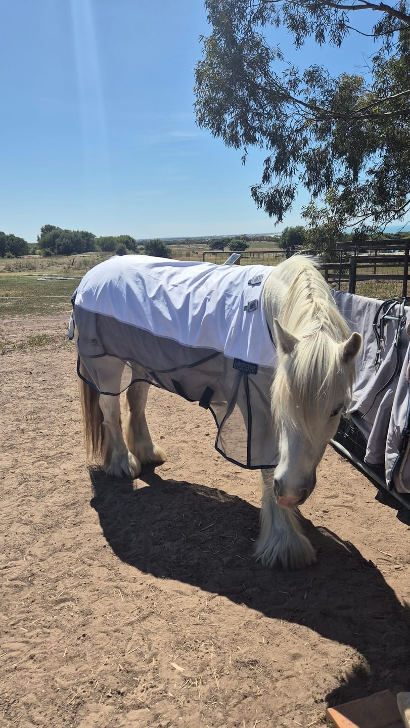 Customer photo review of LE Fieldsafe Summer Sheet