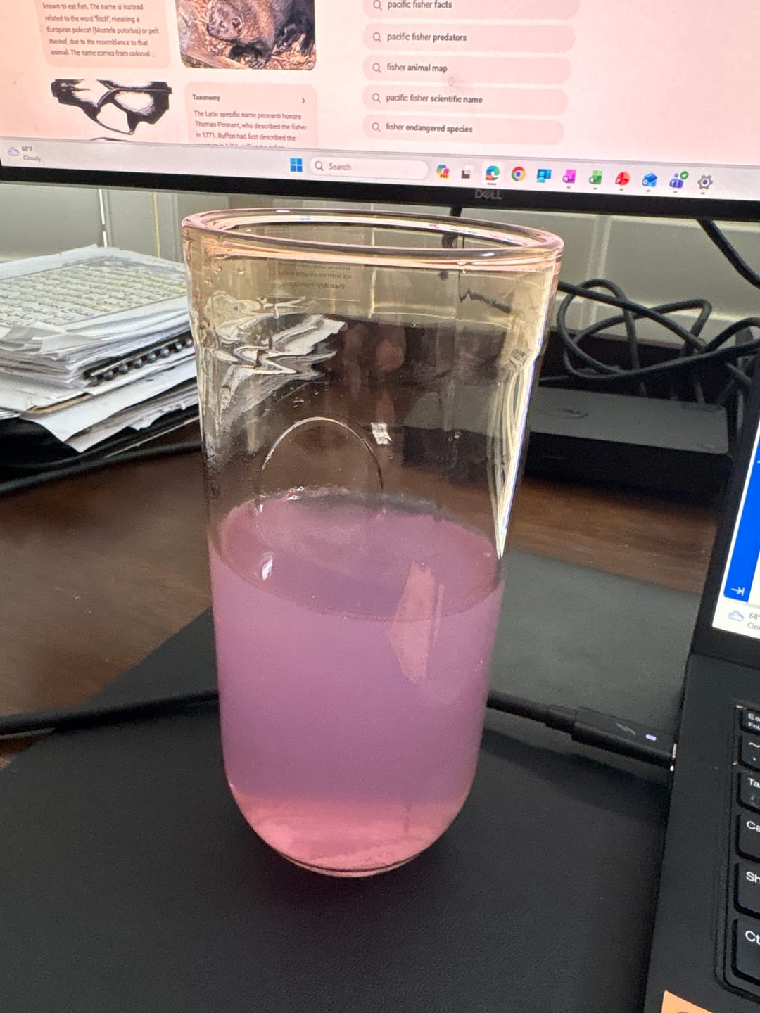 Customer photo review of Strike Electrolytes