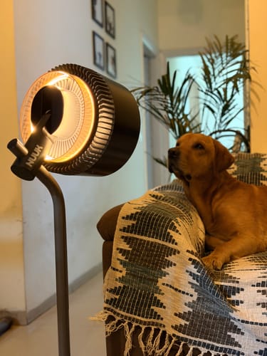 Customer photo review of HĀLO v2 | 3D Air Circulation Fan with Mood Lamp