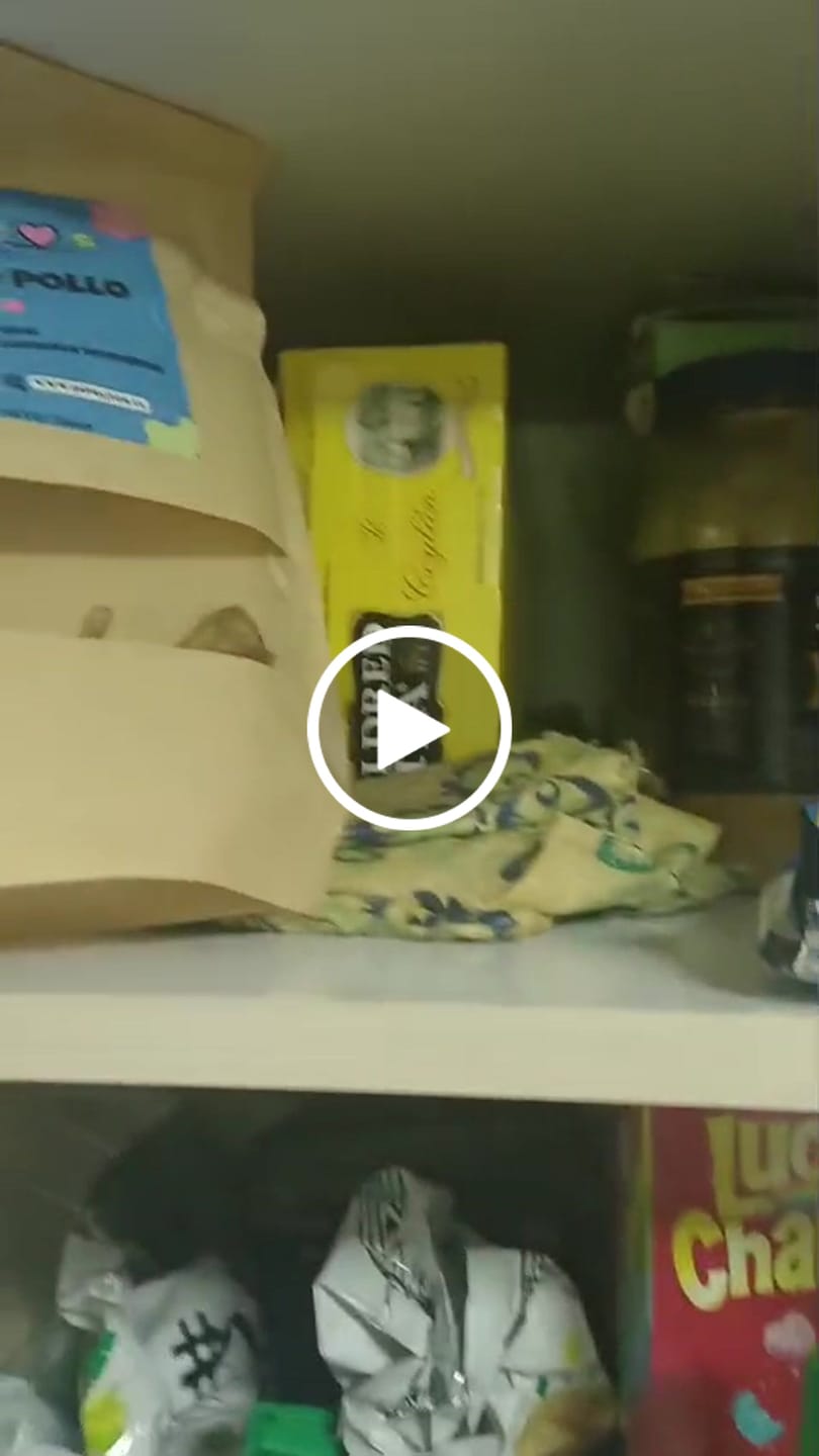 Customer video review of Patas de pollo  - Pack 60 unidades