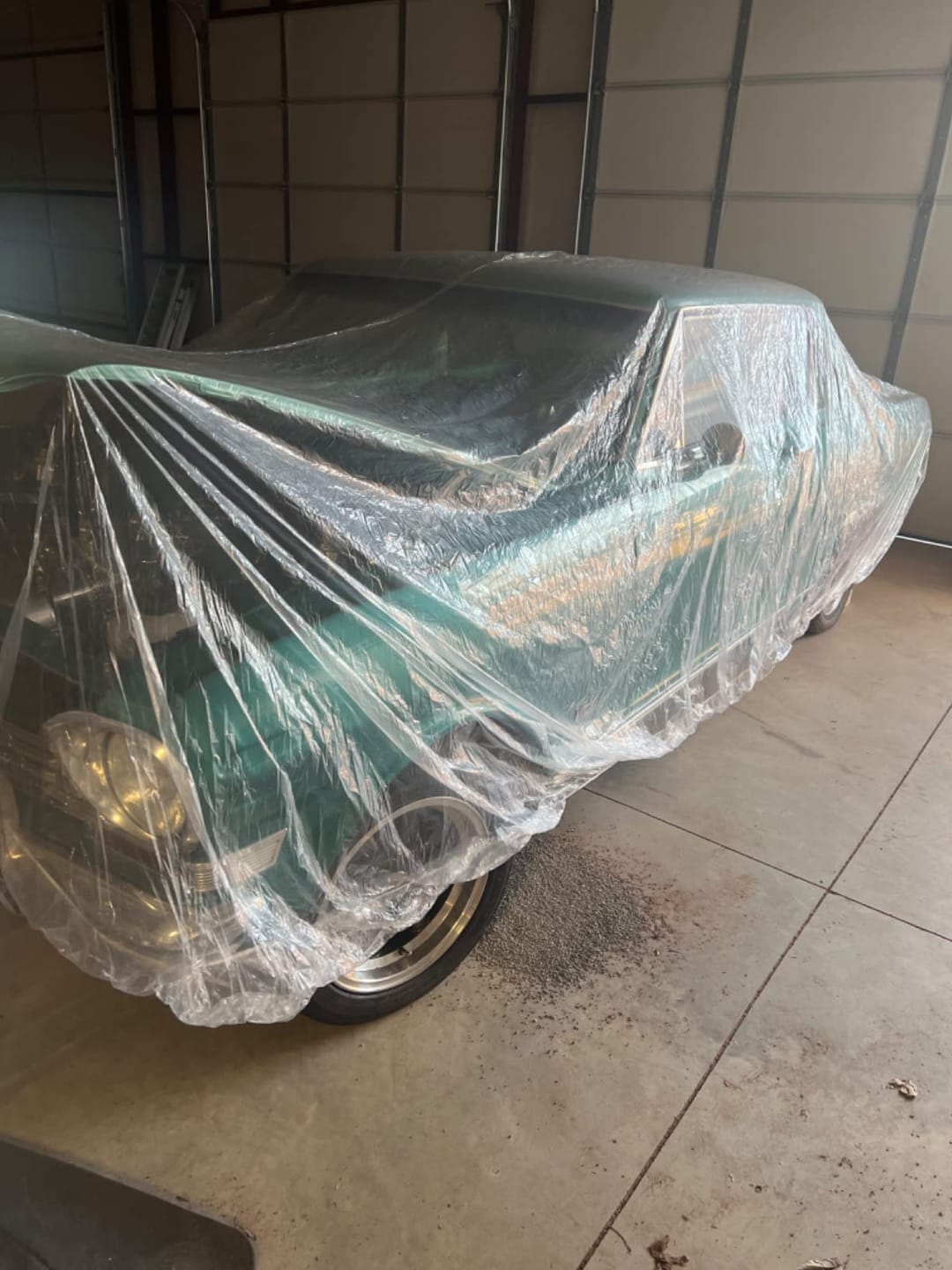 Customer photo review of Indoor Car Cover