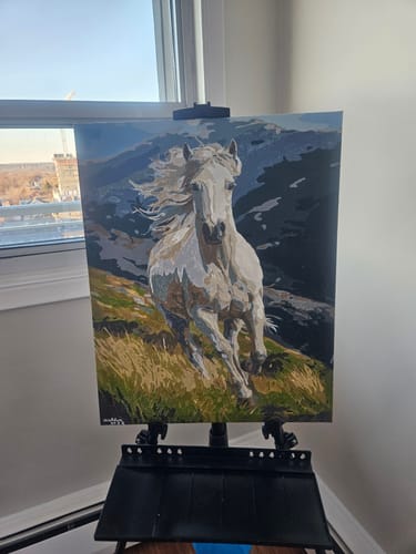 Customer photo review of Highland Gallop