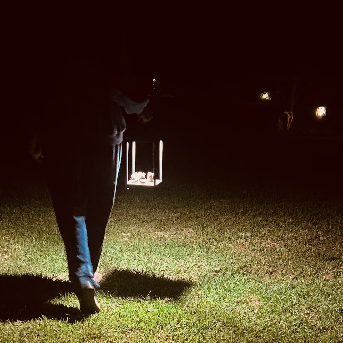 Customer photo review of Luxury Metal Solar Lantern
