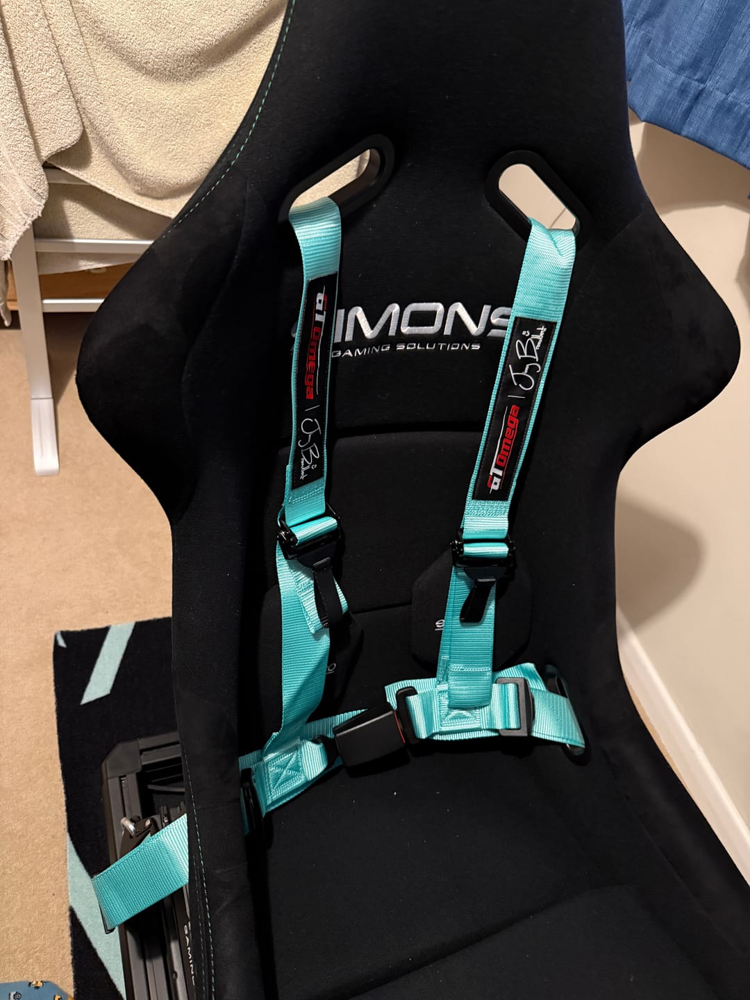 Customer photo review of 4-Point Racing Harness - Jimmy Broadbent Edition