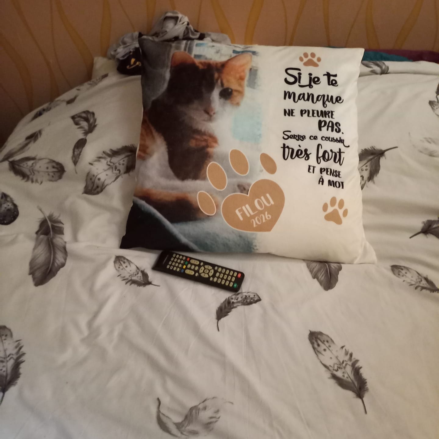 Customer photo review of Si je te manque - Coussin personnalisé