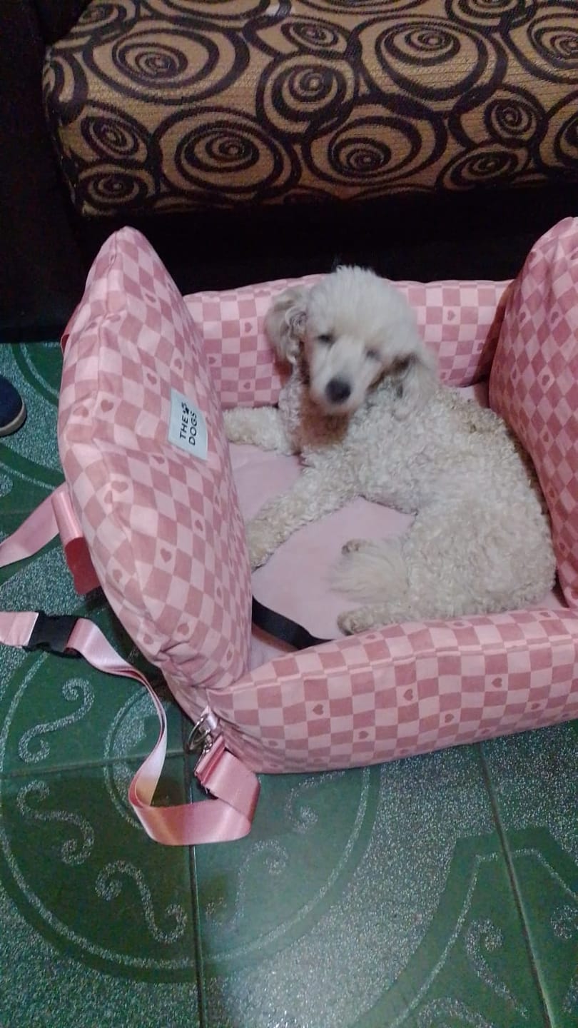 Customer photo review of Asiento Primera Clase THE DOGS — Viajes seguros y cómodos