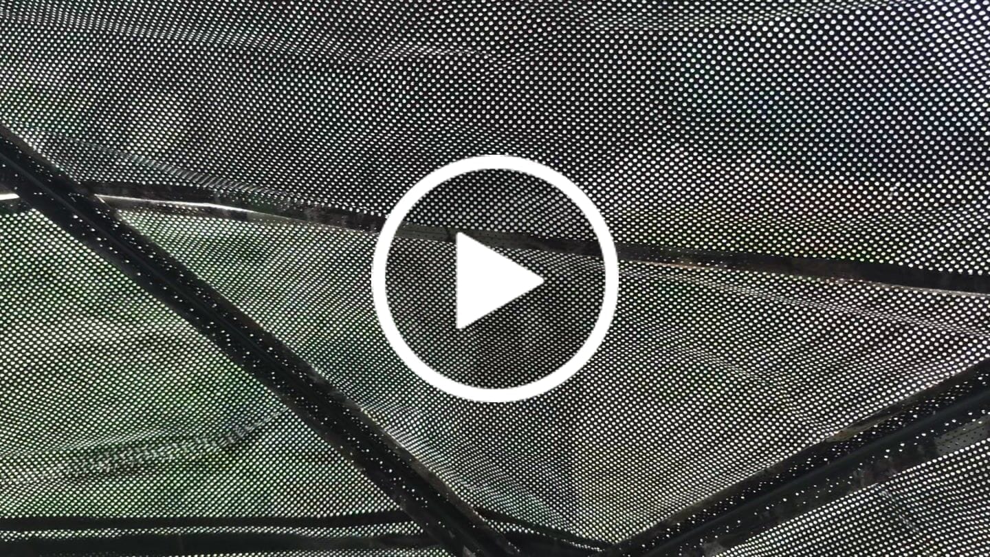 Customer video review of FLASH SALE VisX/VisMax 270 Degree Ground Blind | See-Through Duck Blind & Portable Pop-Up Deer Blind | Camouflage Hunting Blinds & Best Budget Ground Options