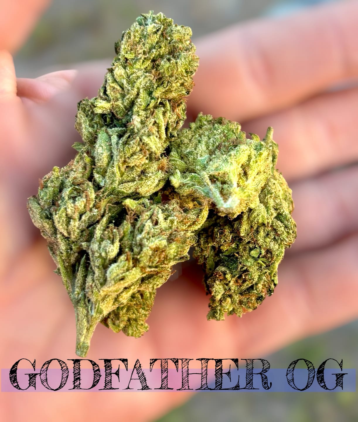 Customer photo review of Godfather OG - 28 Grams - Indica