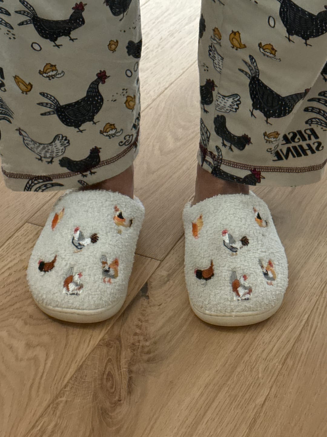 Customer photo review of Backyard Chickens Cream Slippers - Adult