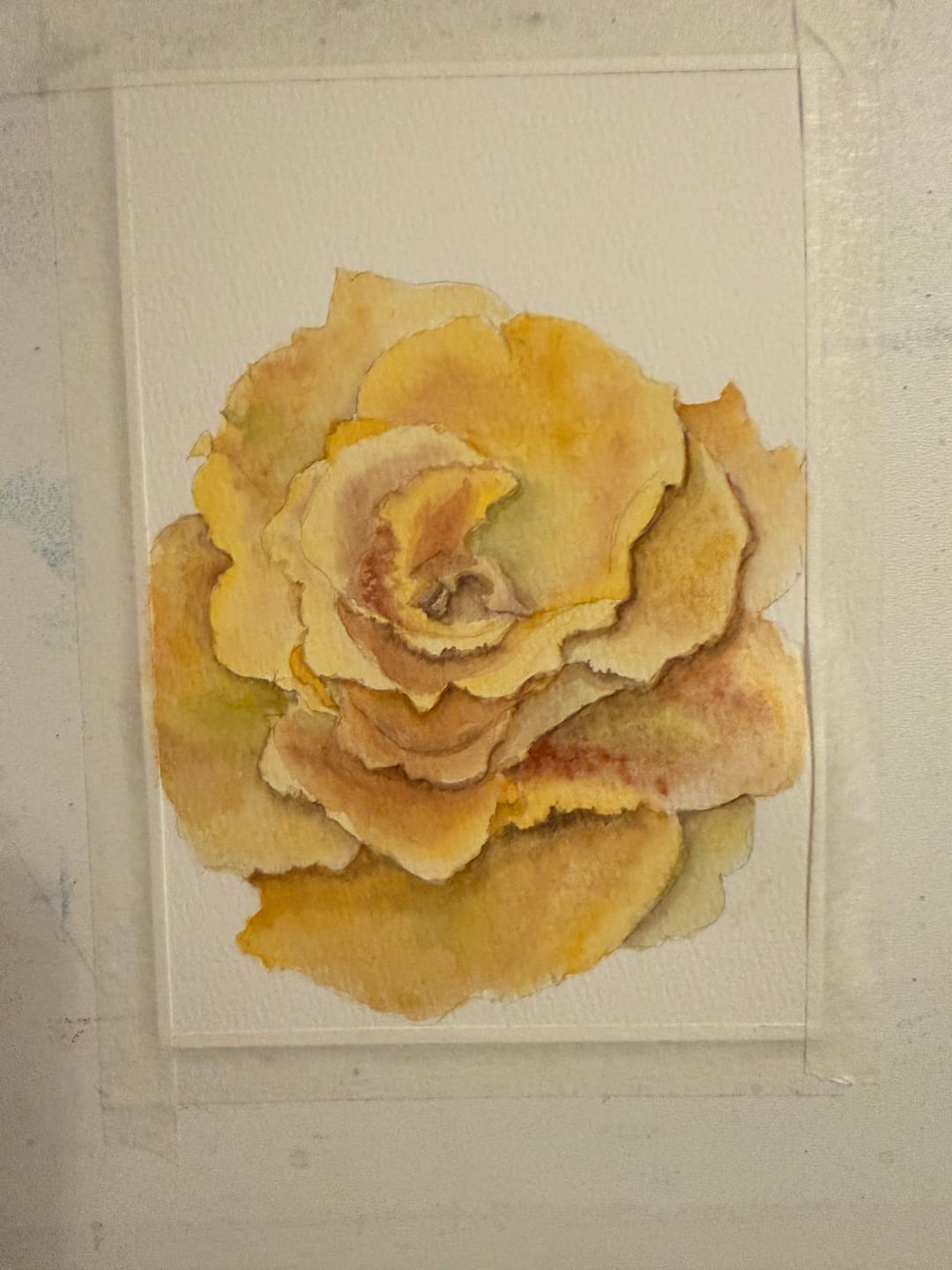 Customer photo review of Skrim Aquarelle- V2