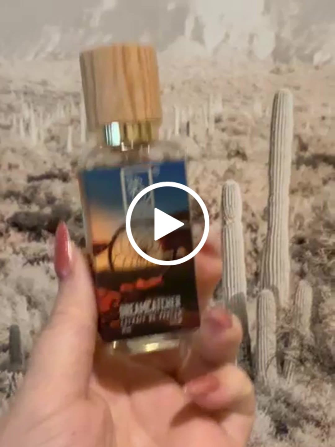 Customer video review of Dreamcatcher