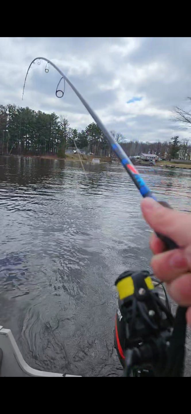 Customer photo review of Custom Spinning Rod