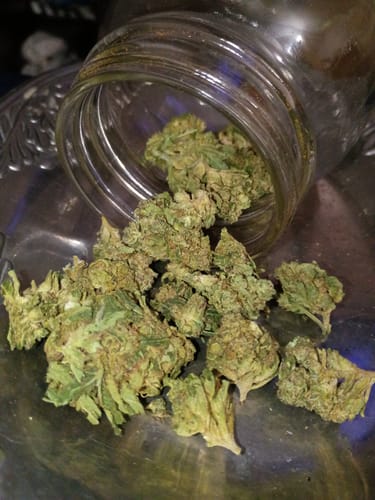 Customer photo review of Biscotti Cake - 28 Grams - Hybrid