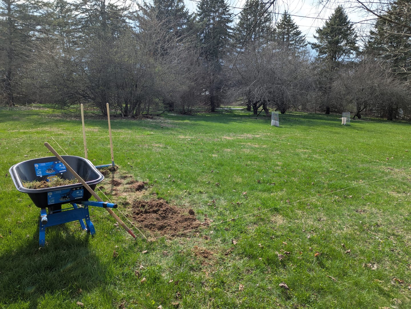 Customer photo review of All-Day Treadlite Broadfork | 20" wide | 4 tines