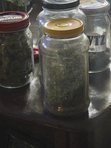 Customer photo review of RS11 Flower