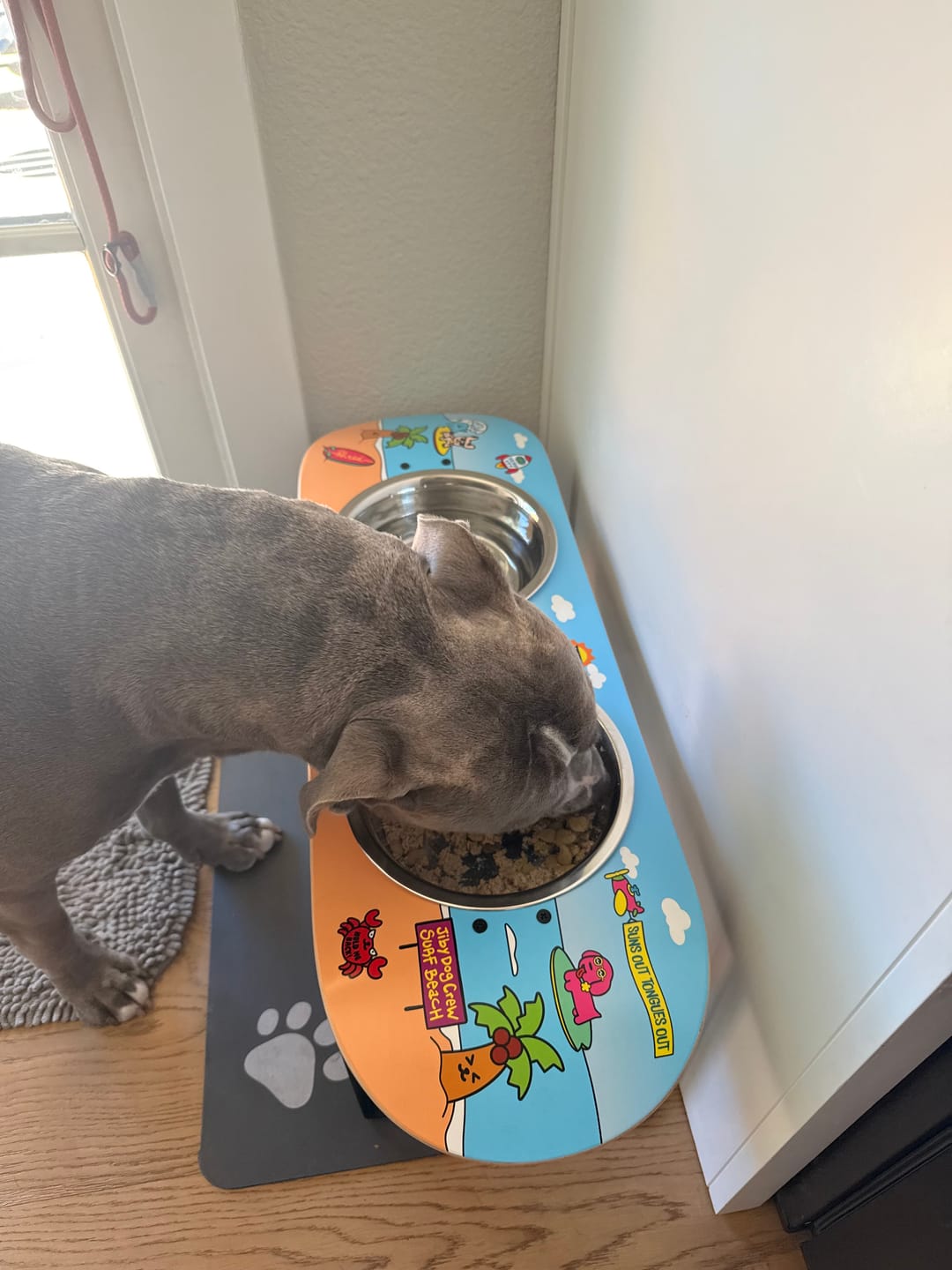 Customer photo review of Surf City Skateboard Dog Bowl (XL Tall)