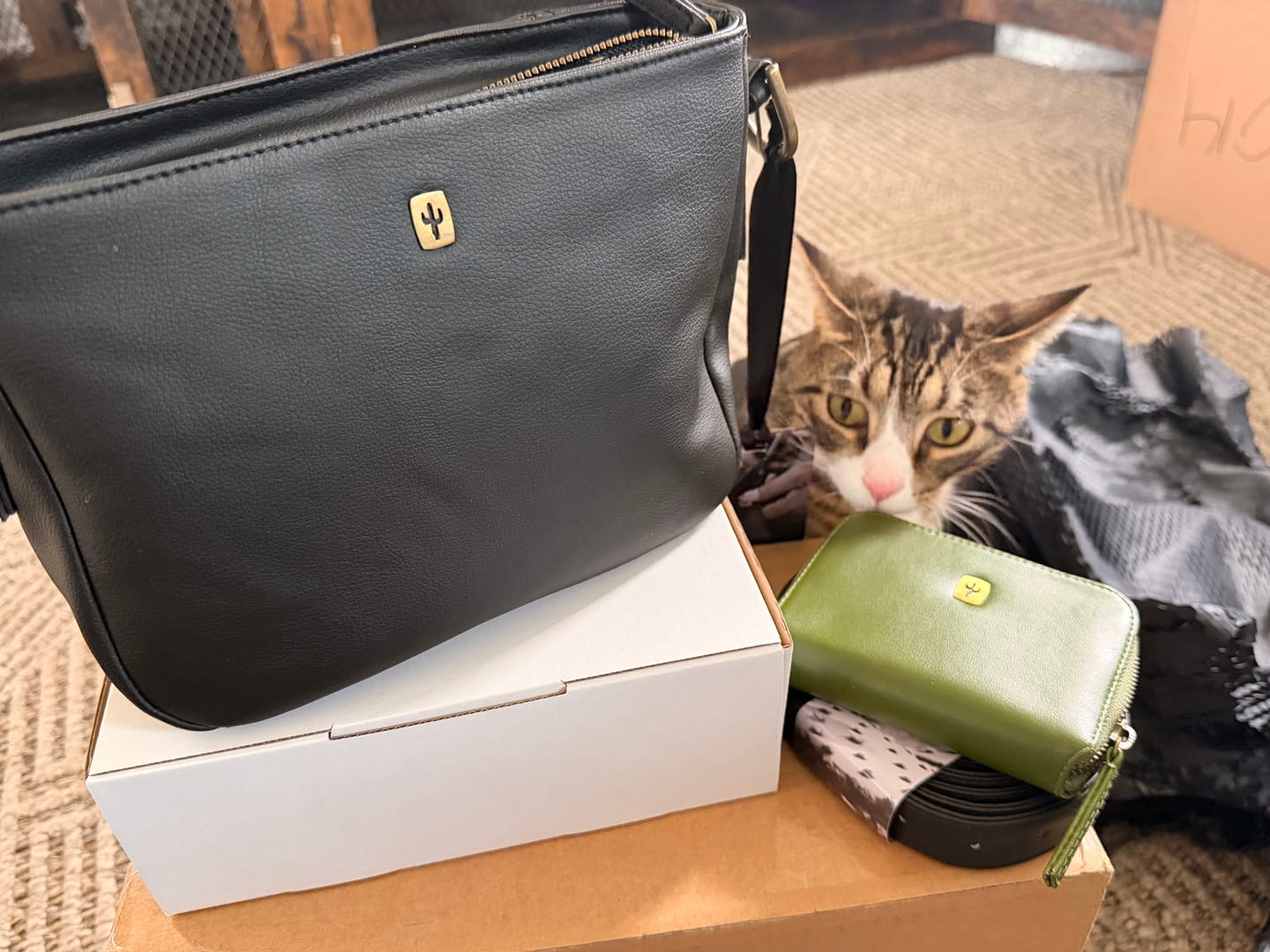 Customer photo review of Avant-Garde | Cactus Leather Night