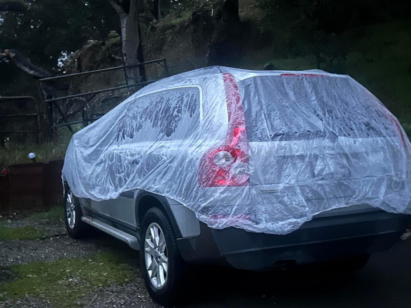 Customer photo review of Indoor Car Cover
