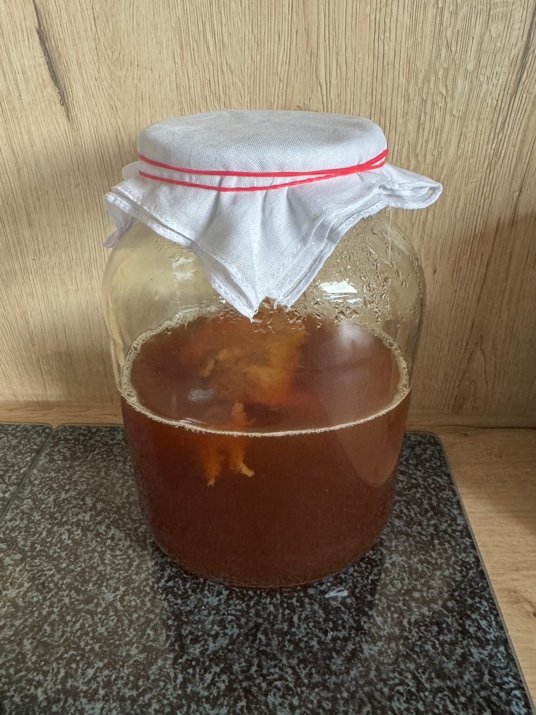 Customer photo review of BIO Kombucha Starter-Set