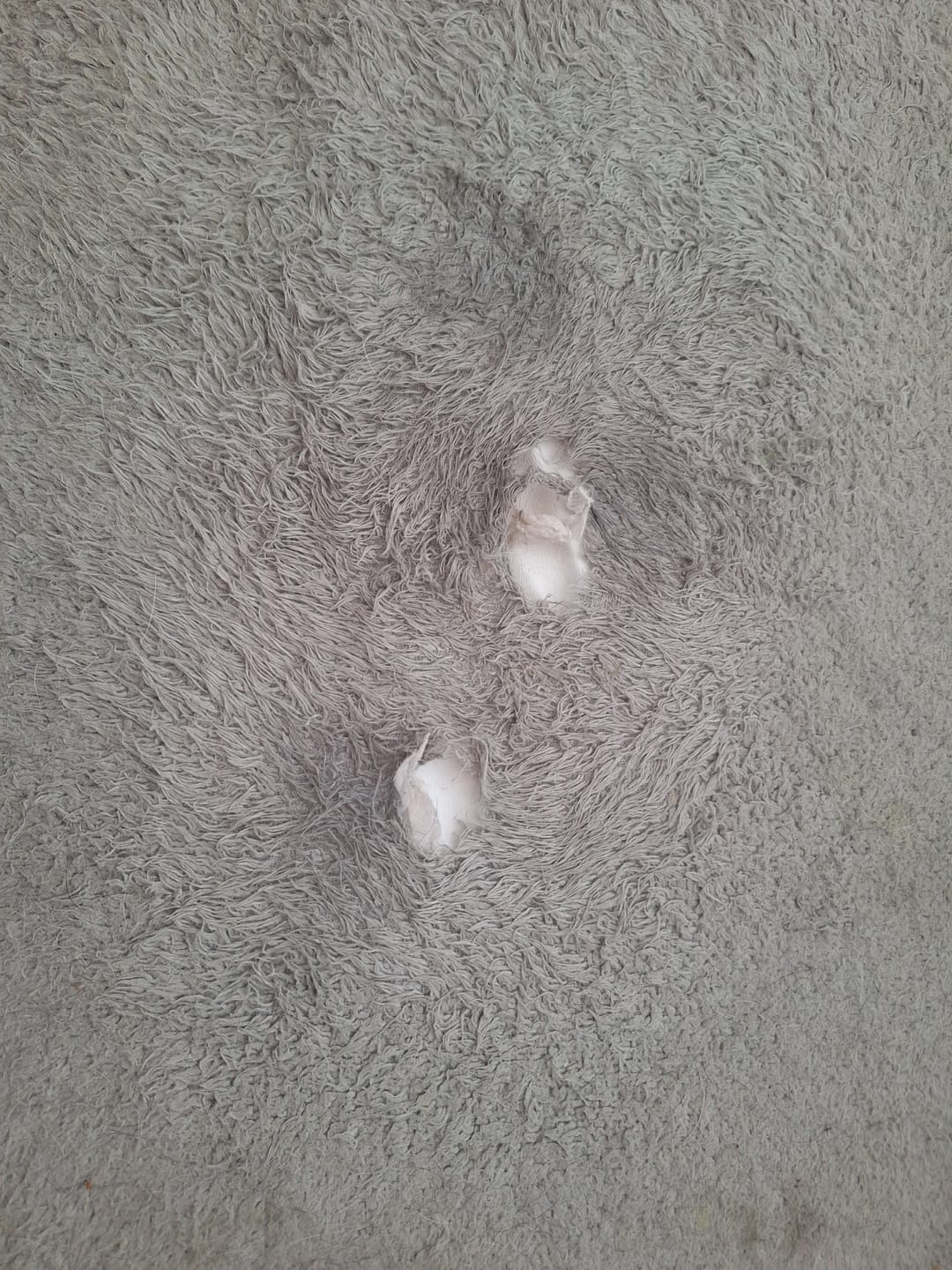 Customer photo review of Pet Perfect Hondenmand - Orthopedisch - Afritsbaar - Bruin
