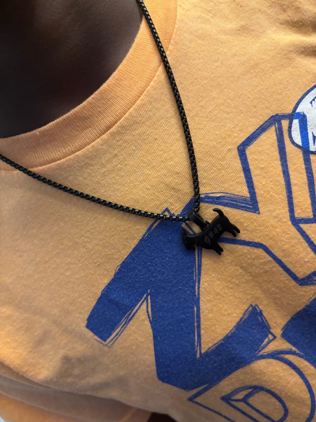 Customer photo review of GOAT