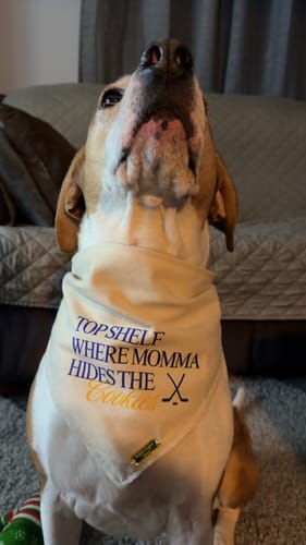 Customer photo review of Where Momma Hides the Cookies