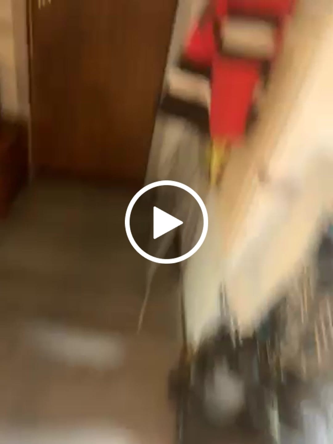 Customer video review of Indoor Micros