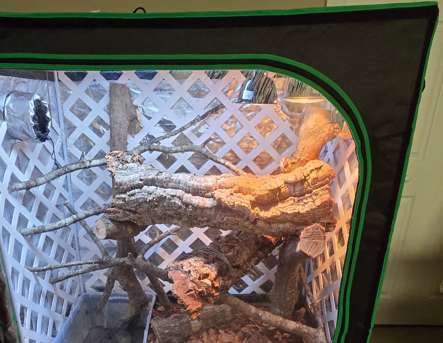 Customer photo review of Premium Cork Bark Tubes, Extra Large