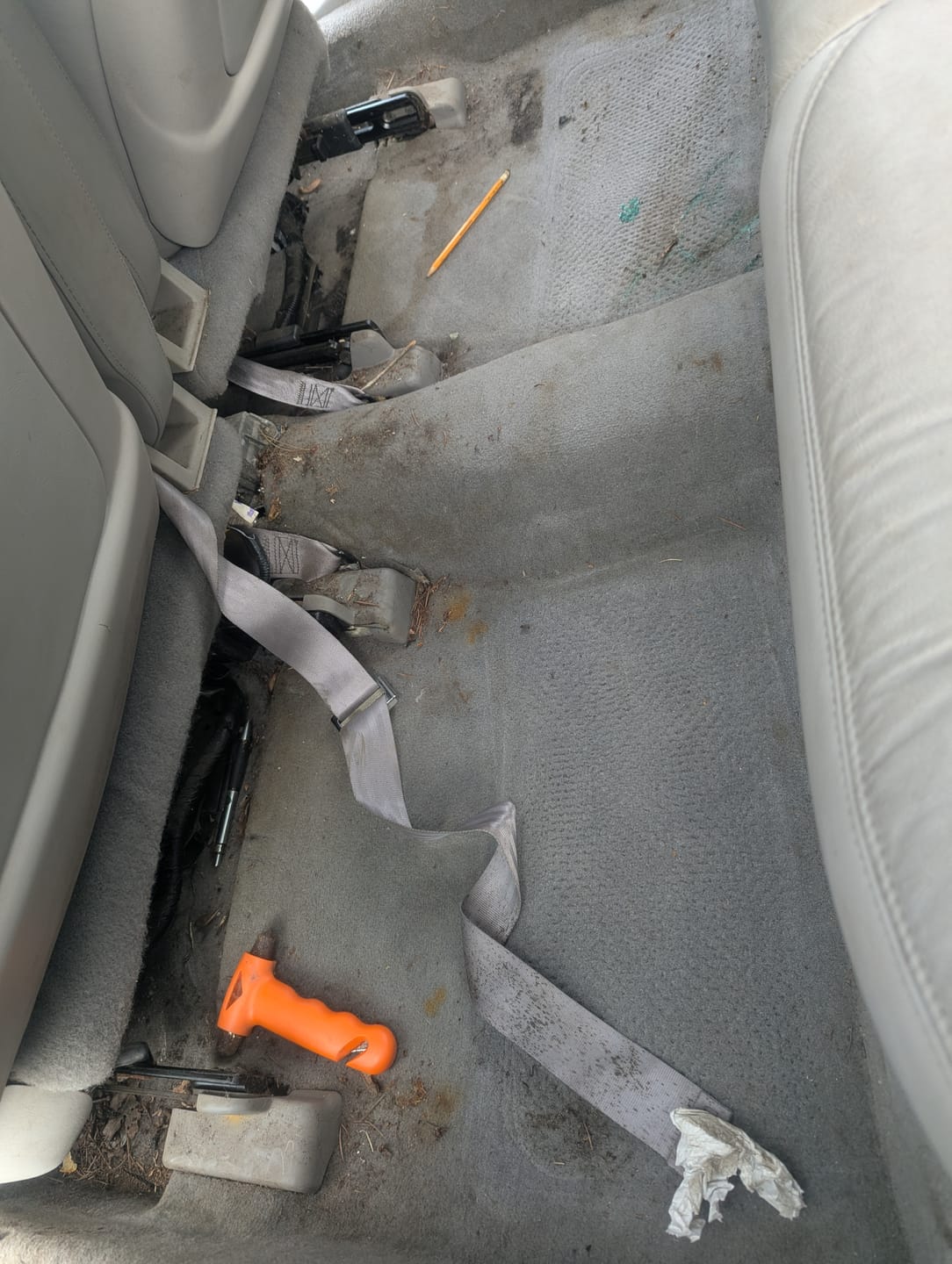 Customer photo review of Interior Cleaner & Protectant