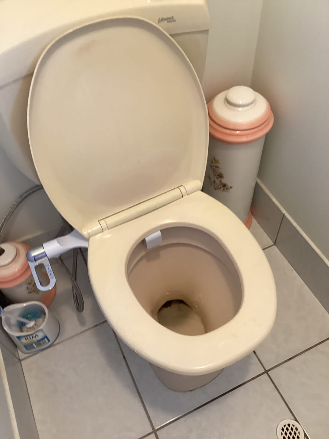 Customer photo review of Hygienex® Original Bidet 2.0