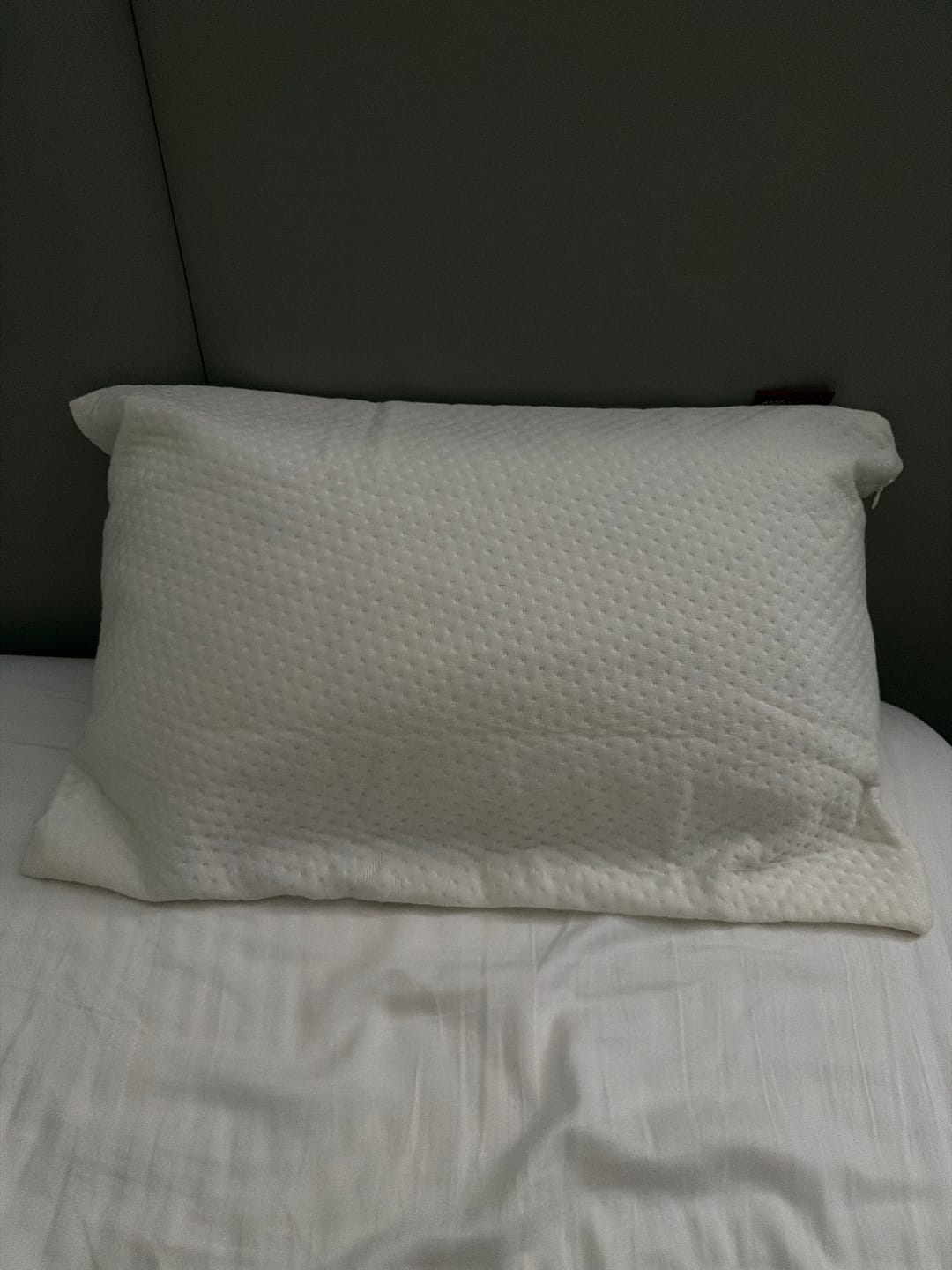 Customer photo review of Travesseiro de Viagem Snow® Mini