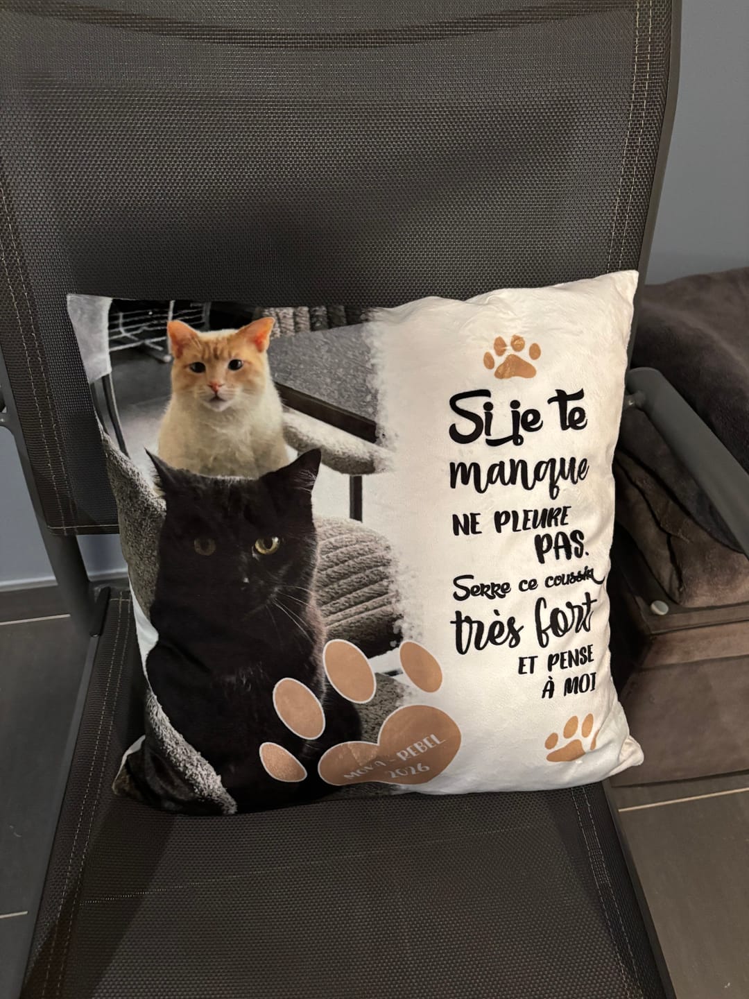 Customer photo review of Si je te manque - Coussin personnalisé