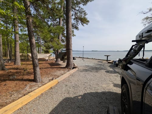 Customer photo review of Haven Safari Pad