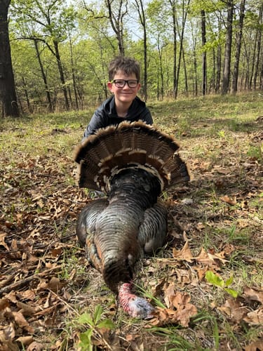 Customer photo review of Slate Over Glass Pot Call