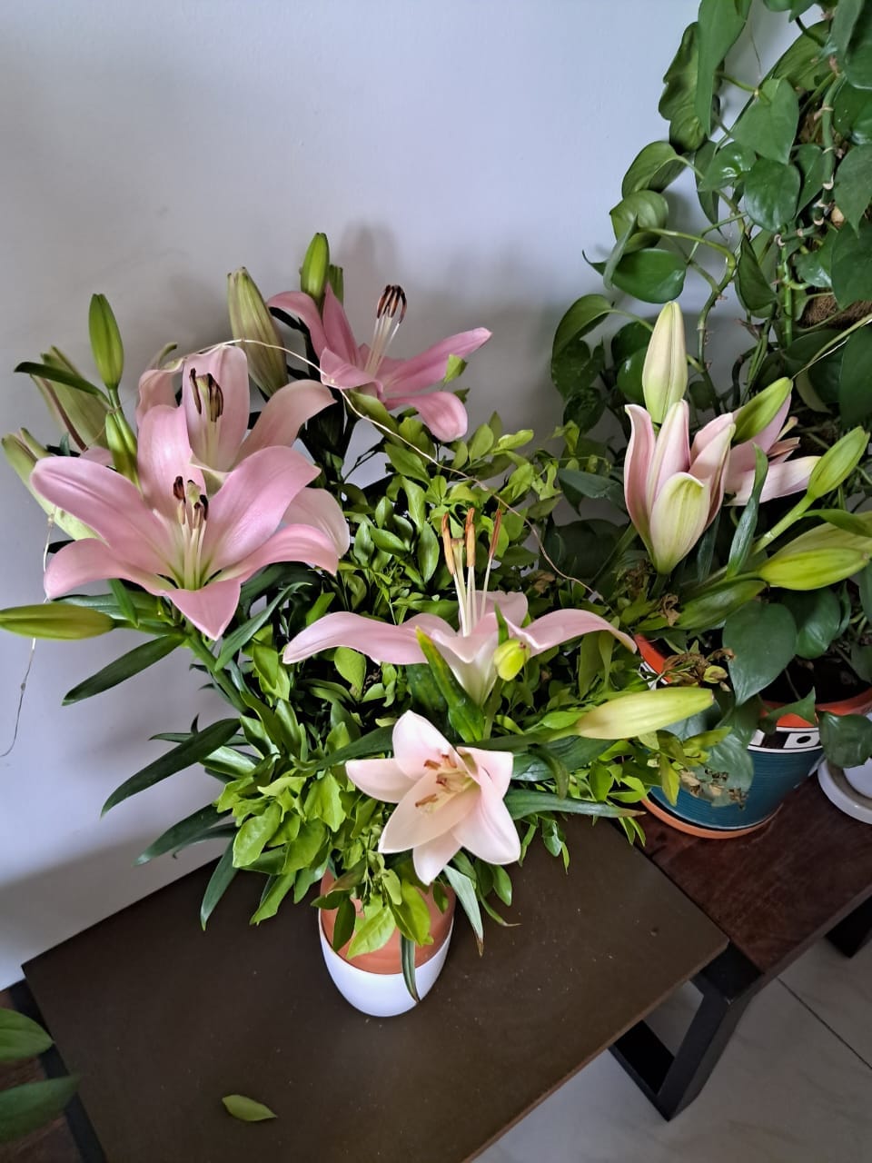 Customer photo review of Asiatic Lily