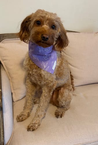 Customer photo review of Purple Floral