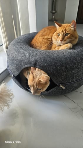 Customer photo review of Cueva Dona