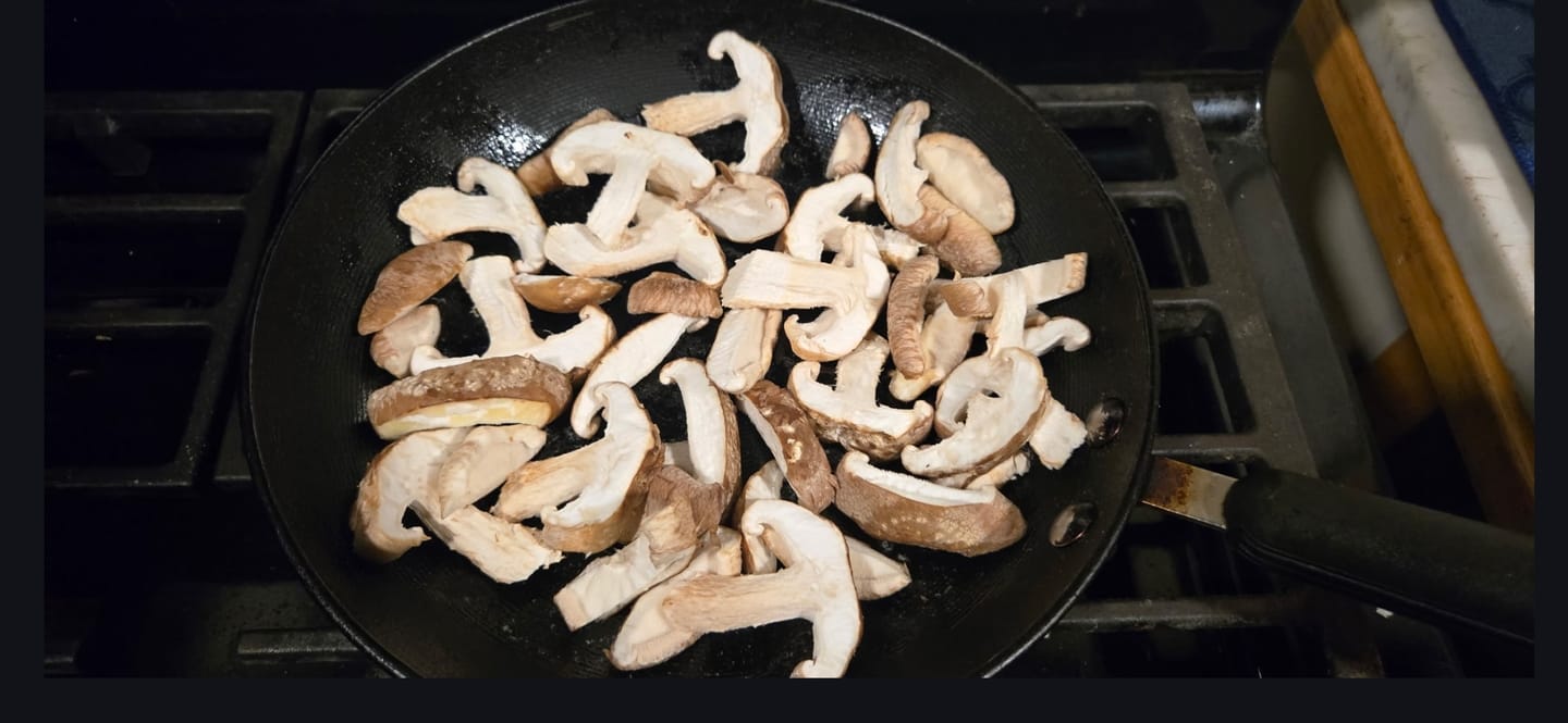 Customer photo review of Shiitake Mushroom Mini-Farm Grow Kit