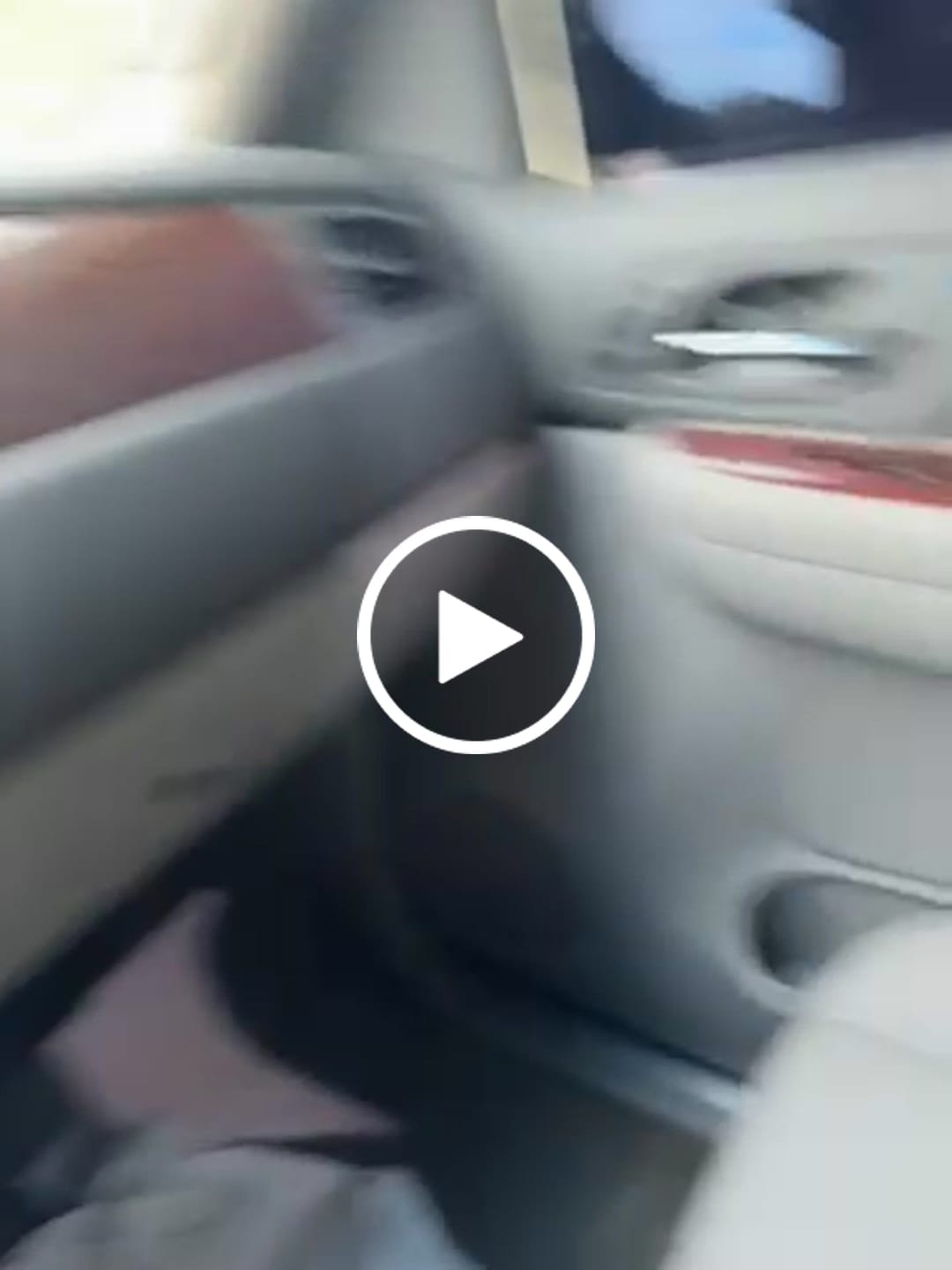 Customer video review of Interior Cleaner & Protectant