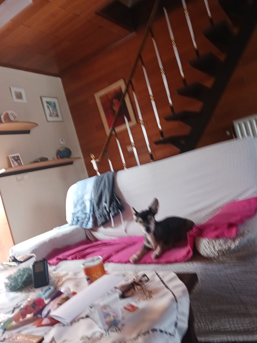 Customer photo review of Beemzy Tandpoeder voor Honden