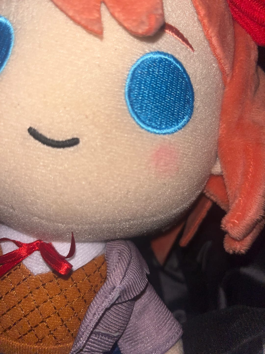 Customer photo review of Doki Doki Literature Club - Sayori Collector's Plush