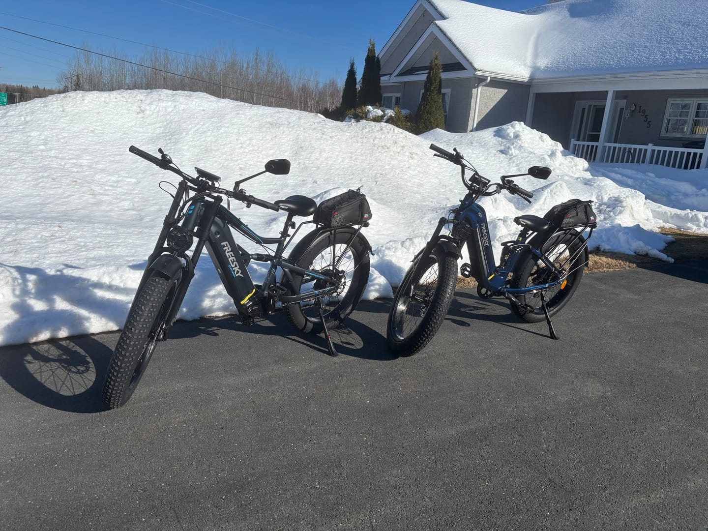 Customer photo review of Wild Cat Ultra A-340
