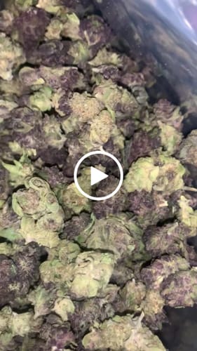 Customer video review of Bulk Indoor THCA Smalls