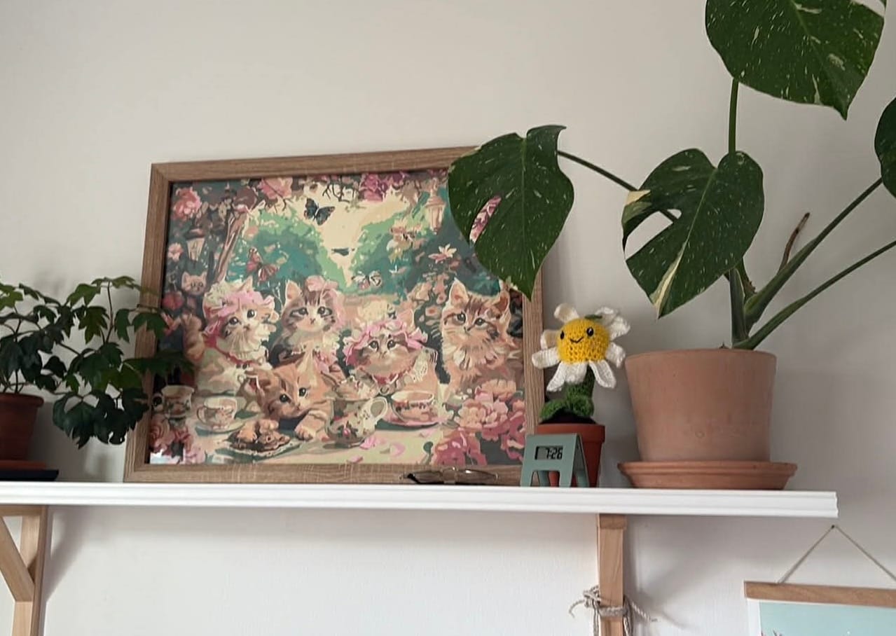 Customer photo review of Kittea Party
